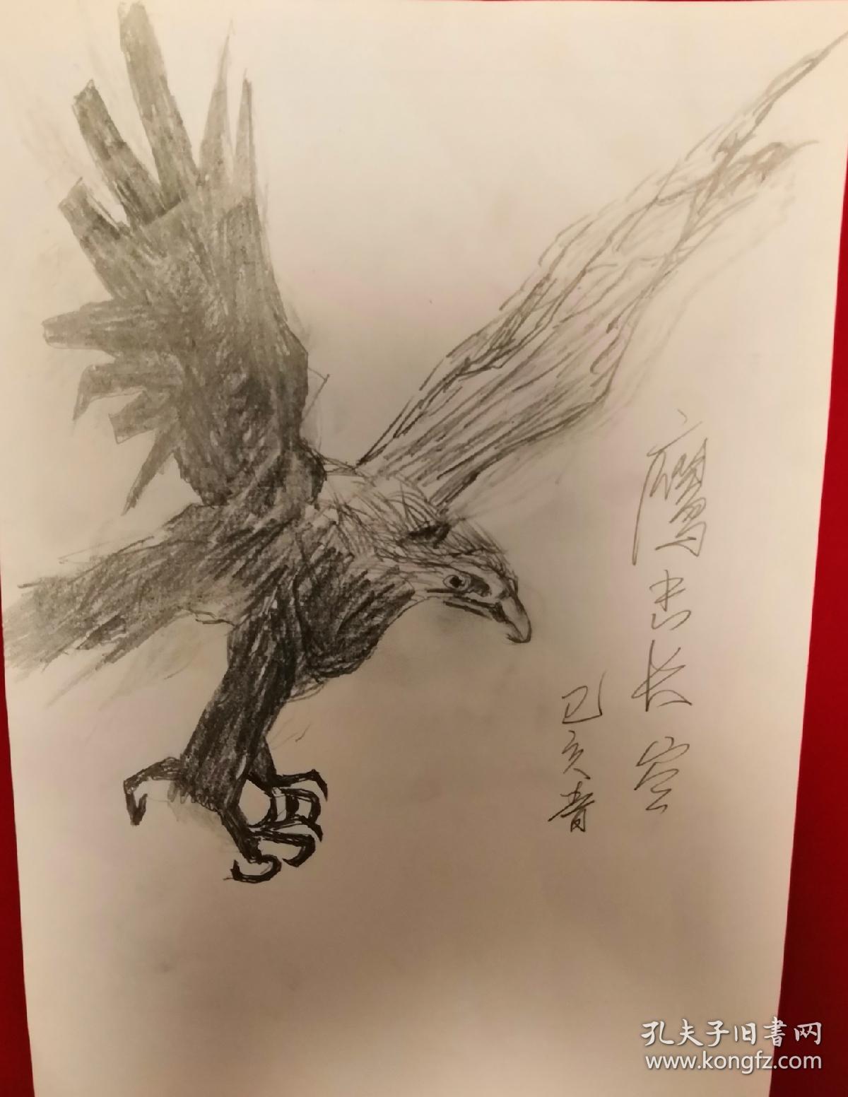 《雄鹰展翅》素描