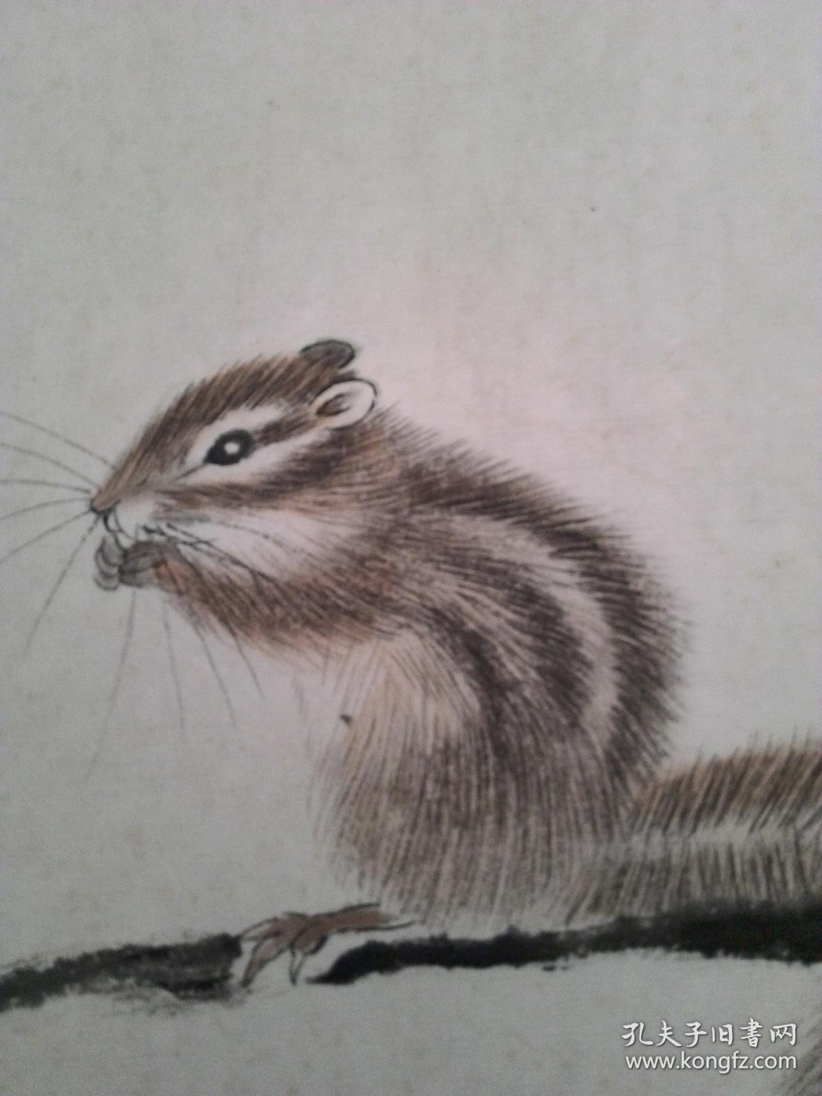 小松鼠 国画镜心,手绘原作,折叠邮寄.