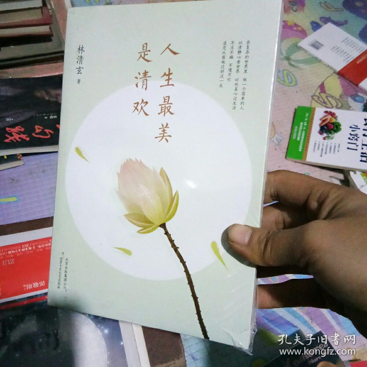 人生最美是清欢:林清玄经典散文集,执笔45周年白金纪念版
