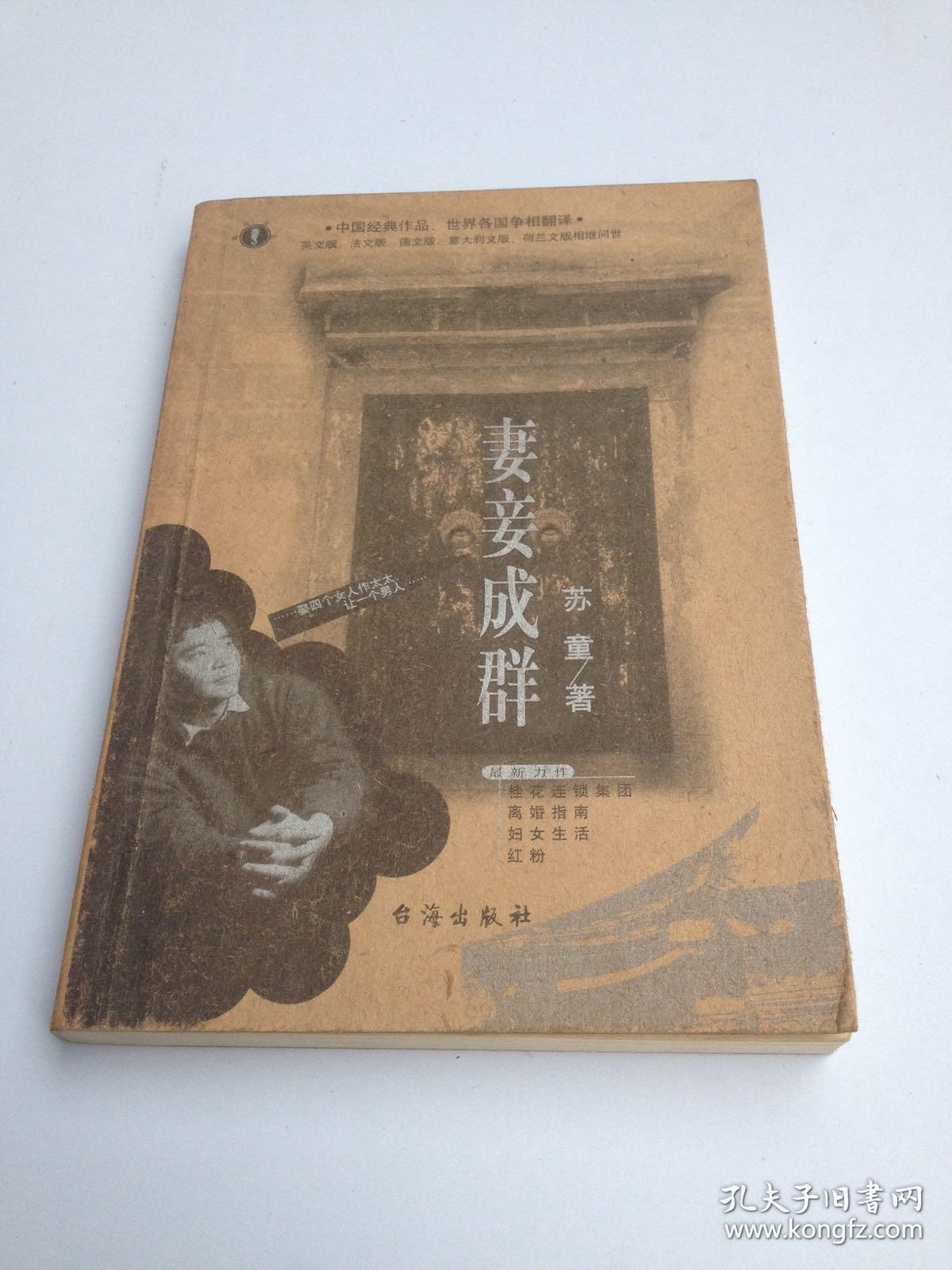 妻妾成群(苏童)_简介_价格_文学书籍_孔网