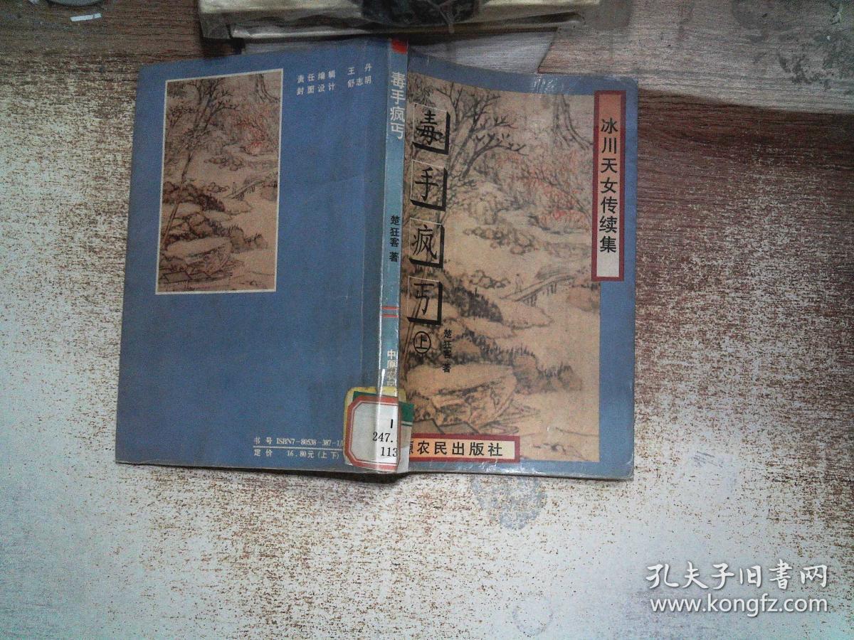 冰川天女传续集毒手疯丐