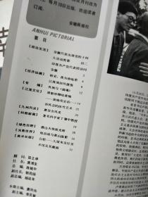 《安徽画报》 199301，安徽代表出席十四大，孙凤吉的拼竹艺术，潜山火柴专题 等！