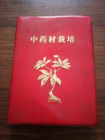 中药材栽培【云南省罗平县医药公司】1972年