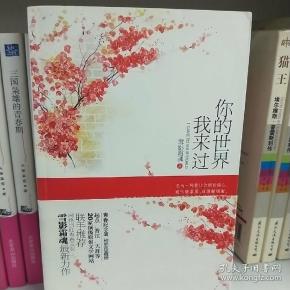 你的世界我来过