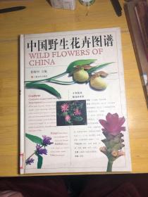 中国野生花卉图谱（铜版纸彩页）