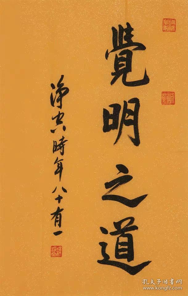 净空法师佛家书法纯手写