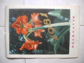1981年美女摄影挂历