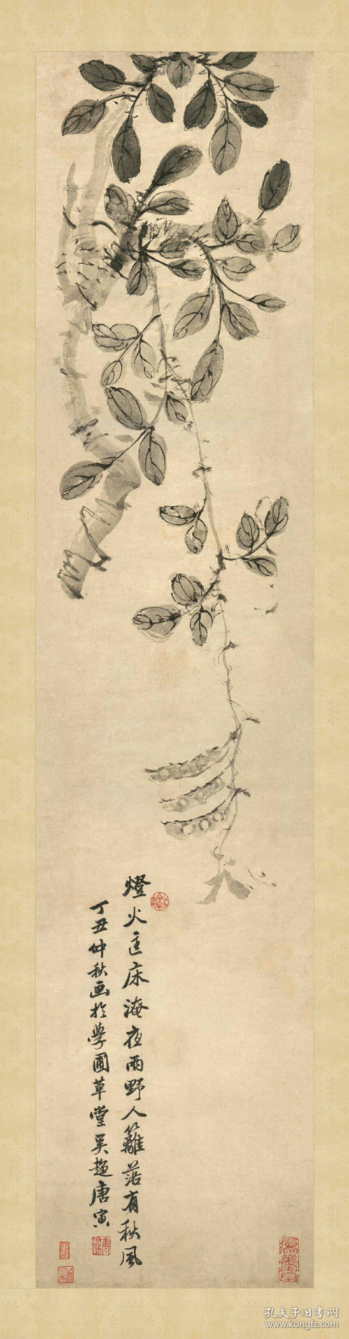 唐寅 秋树豆藤图.纸本大小67.06*257.47厘米.