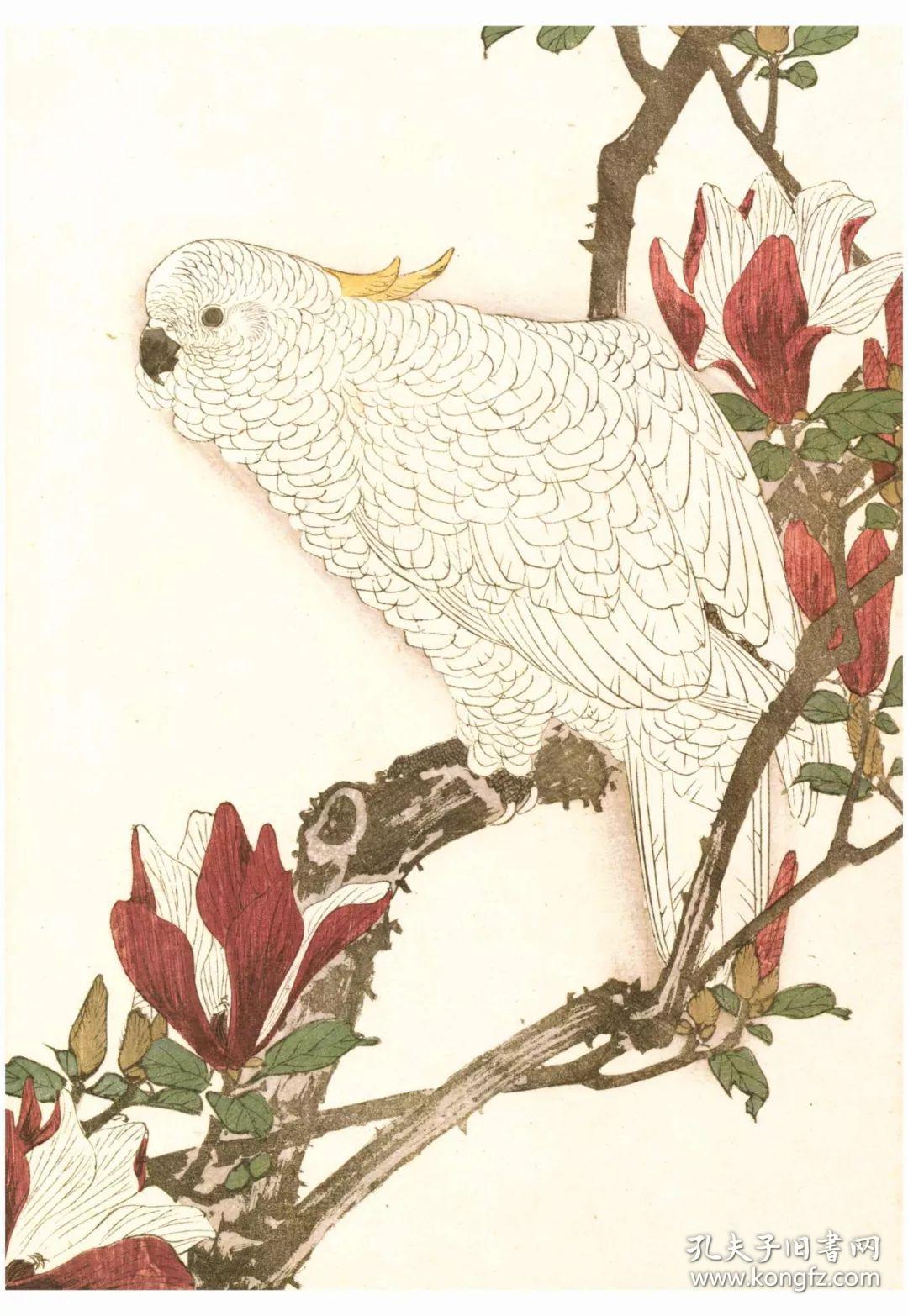 本店专题美成在久沈尹默专题敦煌艺术周边日本中国绘画研究译丛中国