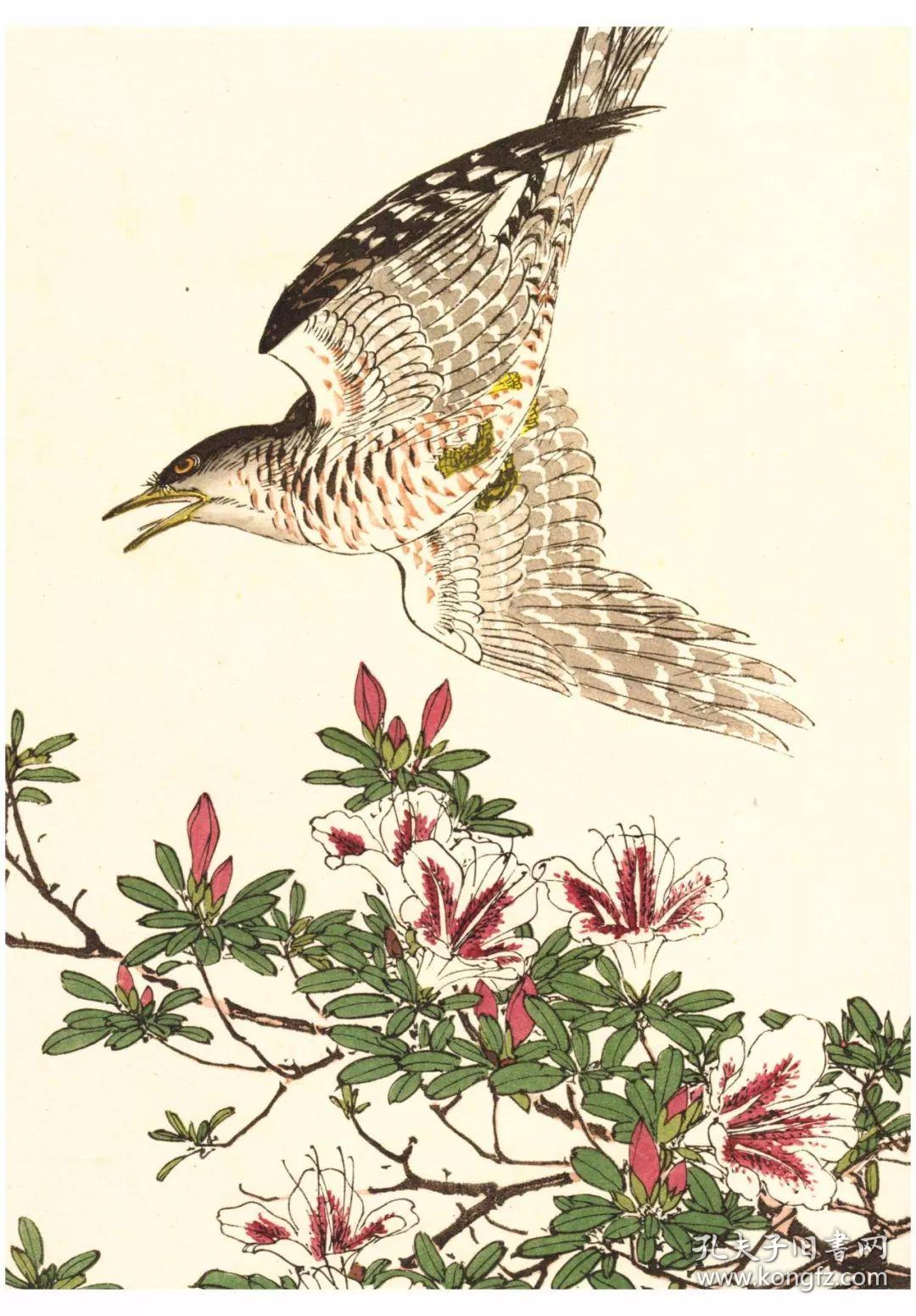 本店专题美成在久沈尹默专题敦煌艺术周边日本中国绘画研究译丛中国