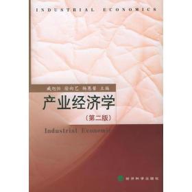 产业经济学（第二版）