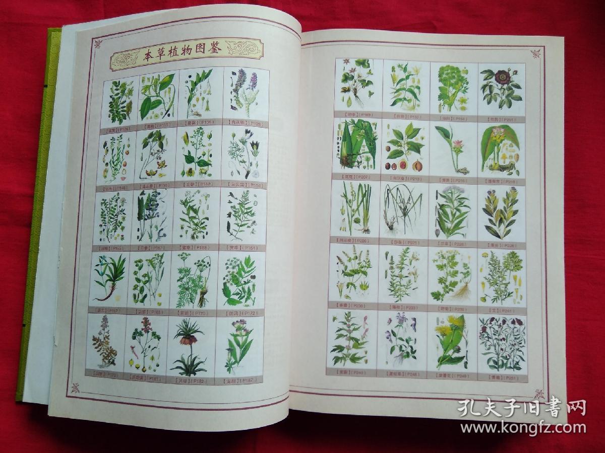 图解《本草纲目》