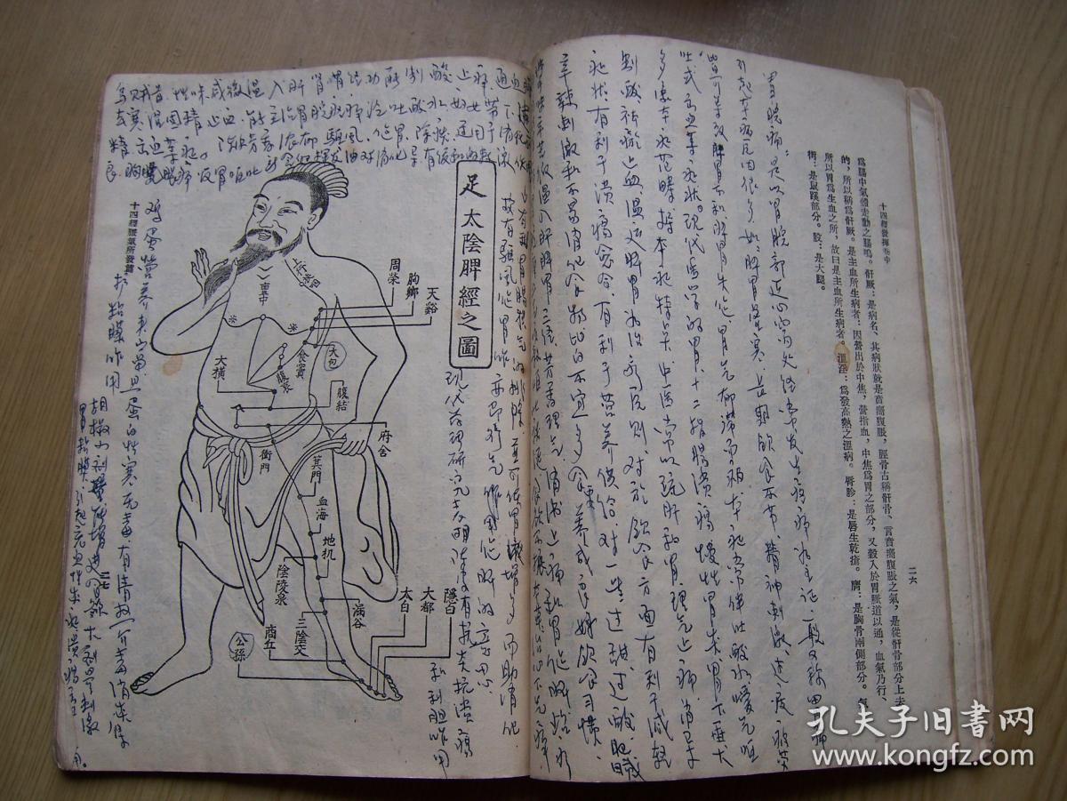 校注十四经发挥(元)滑伯仁著 58年一版一印.27开.