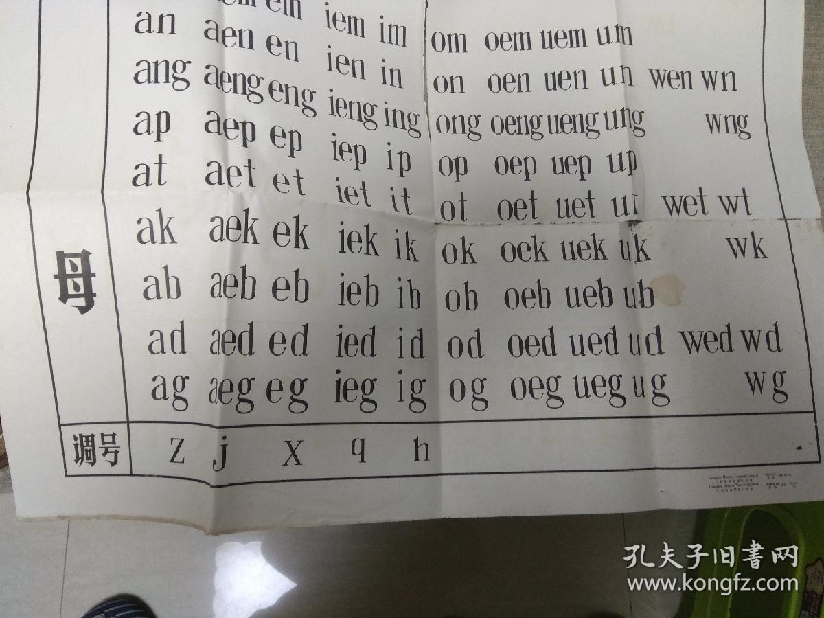 壮文声母,韵母,调号总表