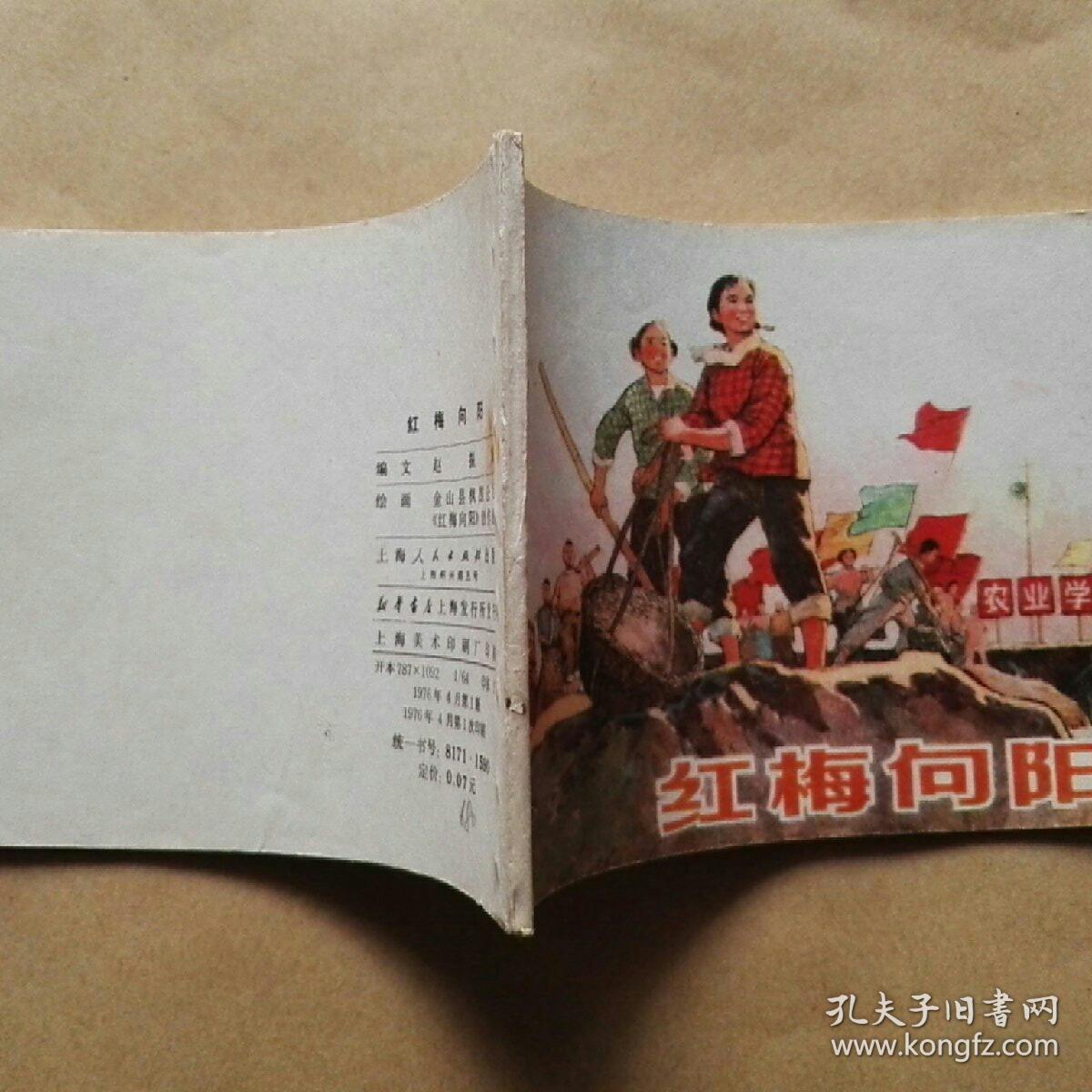 红梅向阳__连环画