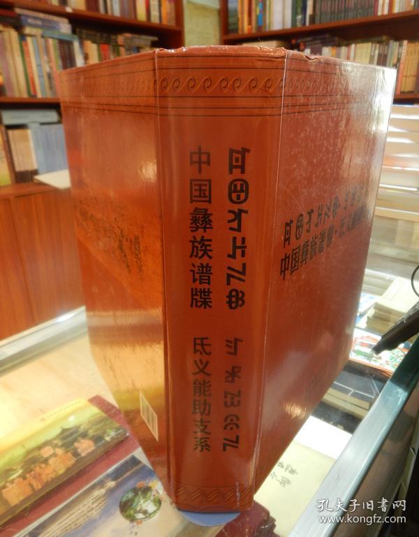 中国彝族谱牒·氐义能助支系【 彝汉对照】