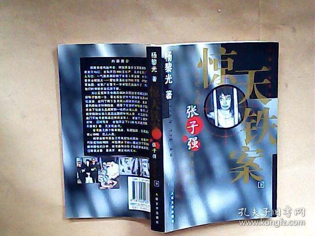惊天铁案:世纪大盗张子强伏法纪实: 下 长篇报告文学