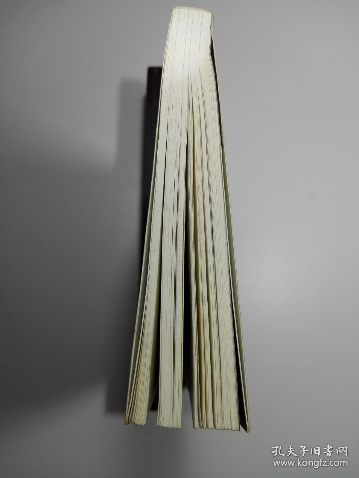 心灵午夜密谈:通往自由与喜悦的生命旅程_希丽尔·西蒙,萨古鲁·加吉