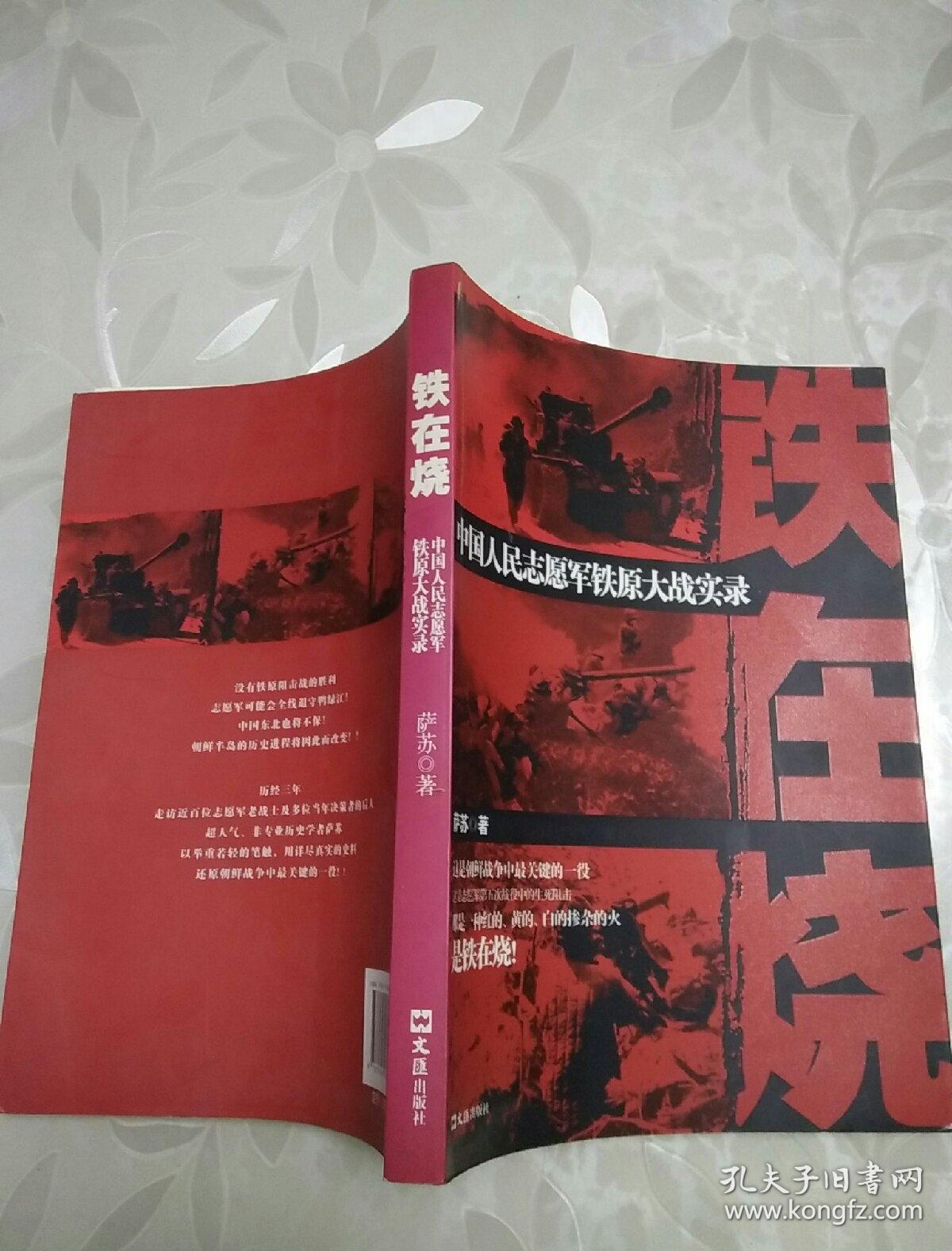 铁在烧(萨苏 著)_简介_价格_军事书籍_孔网