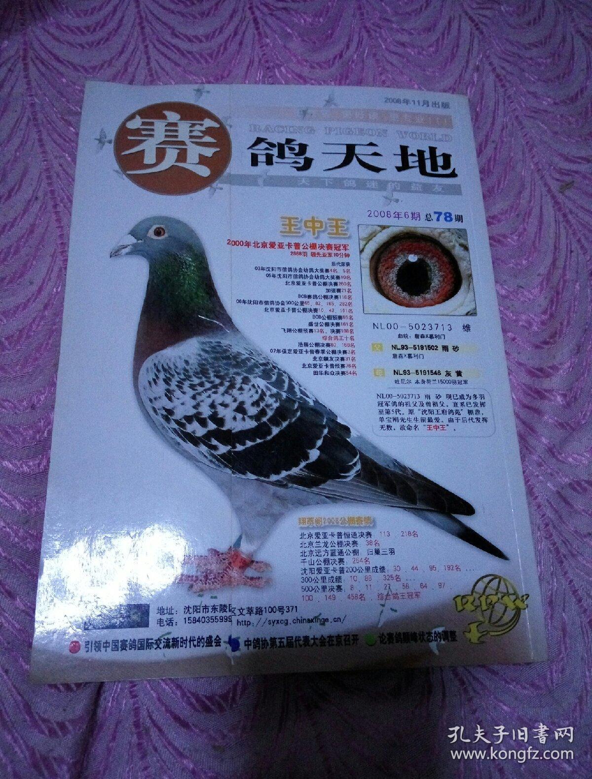 赛鸽天地2008年6期.总78期