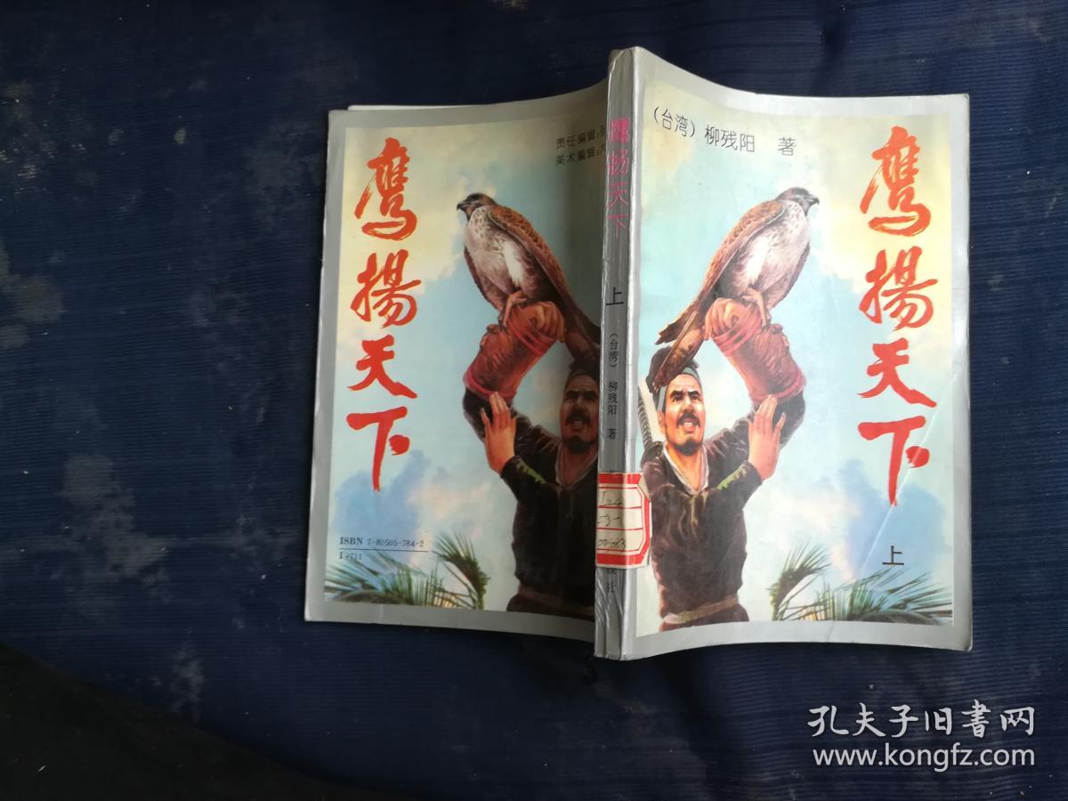 鹰扬天下·上