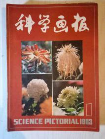 科学画报1983全年12册合售