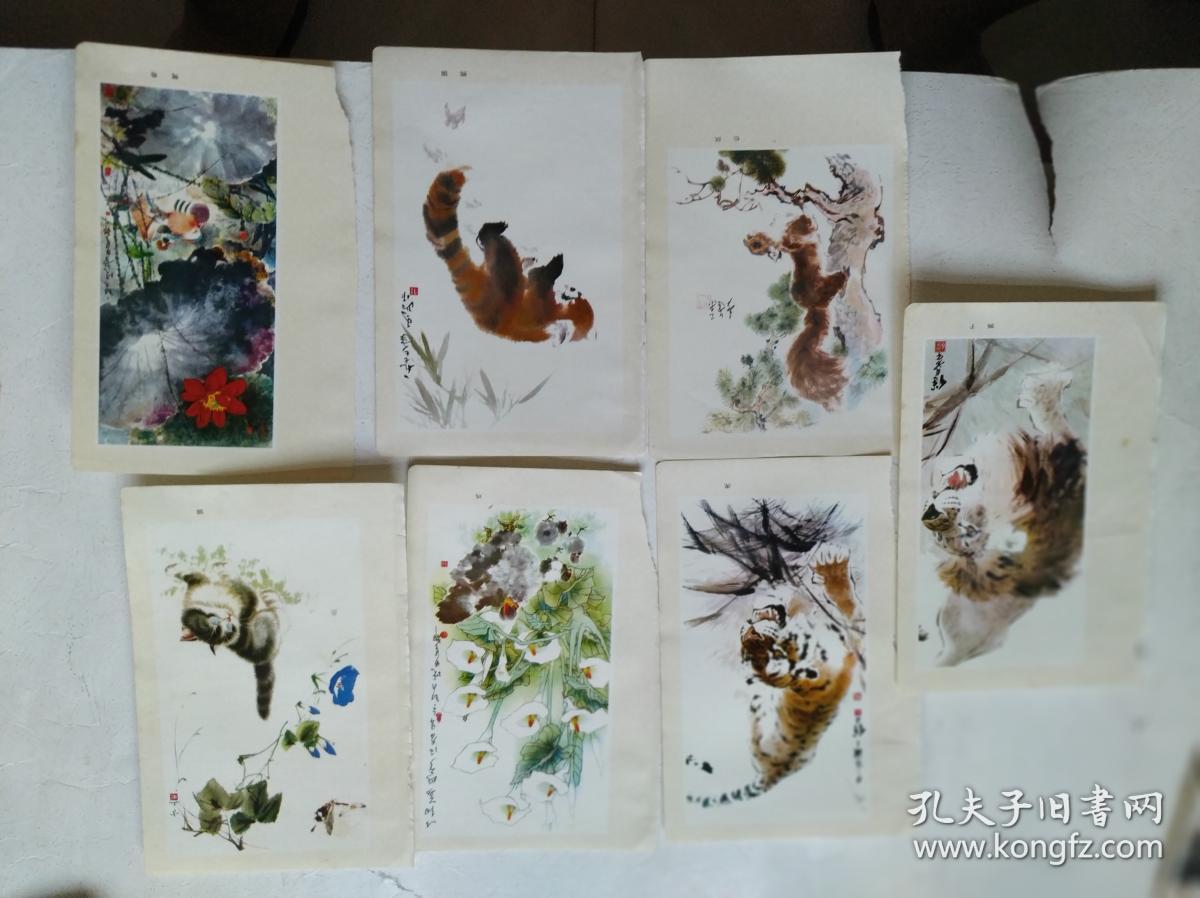 本内页6张_继贞.方工画_孔夫子旧书网