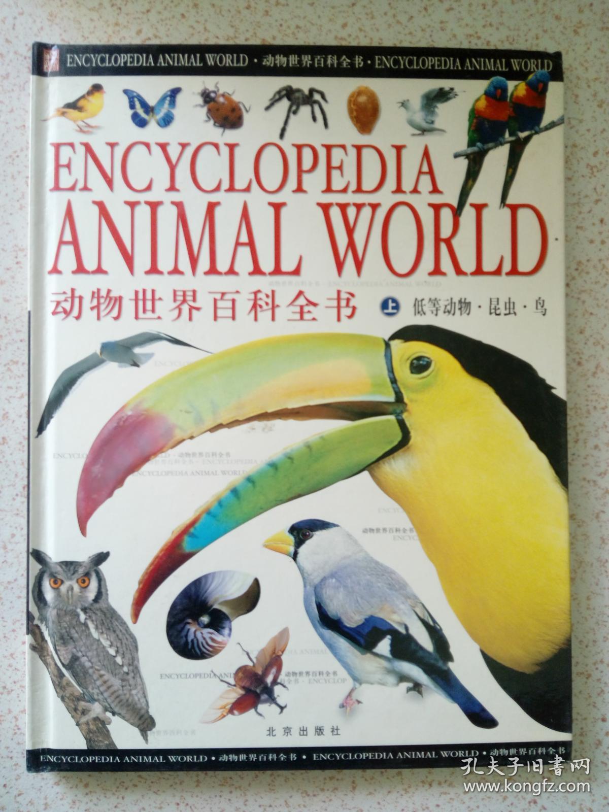 动物世界百科全书上中下三册3架左下