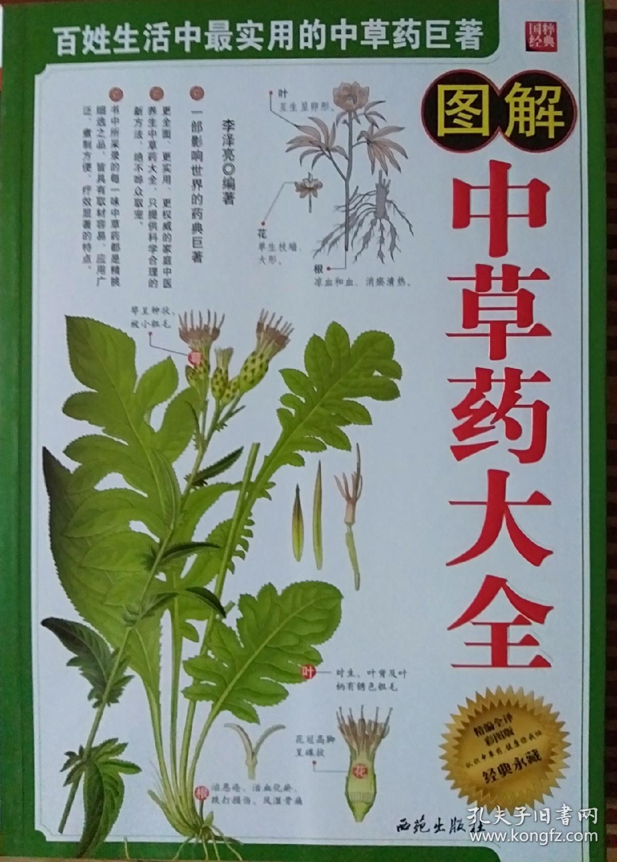 图解中草药大全更全面更实用更权威的家庭中医养生中草药大全