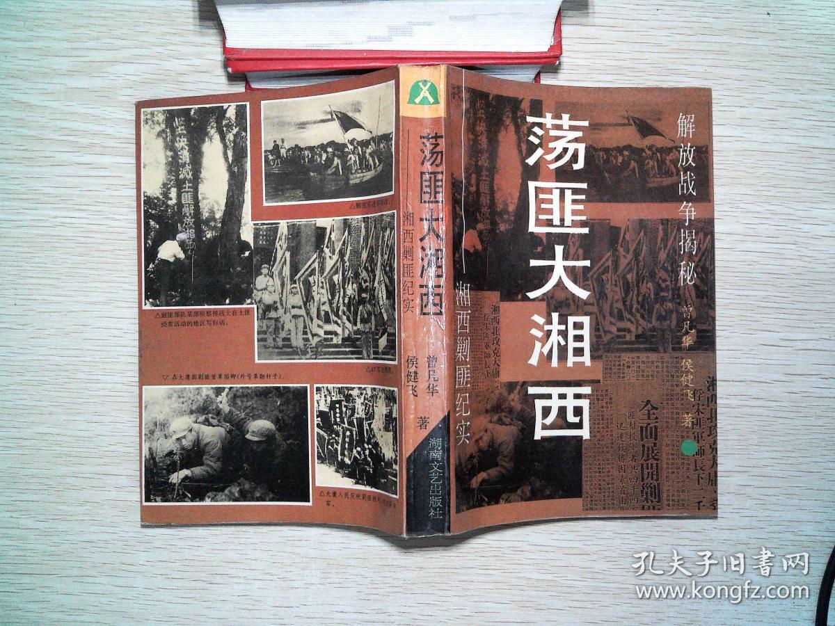 荡匪大湘西:湘西剿匪纪实