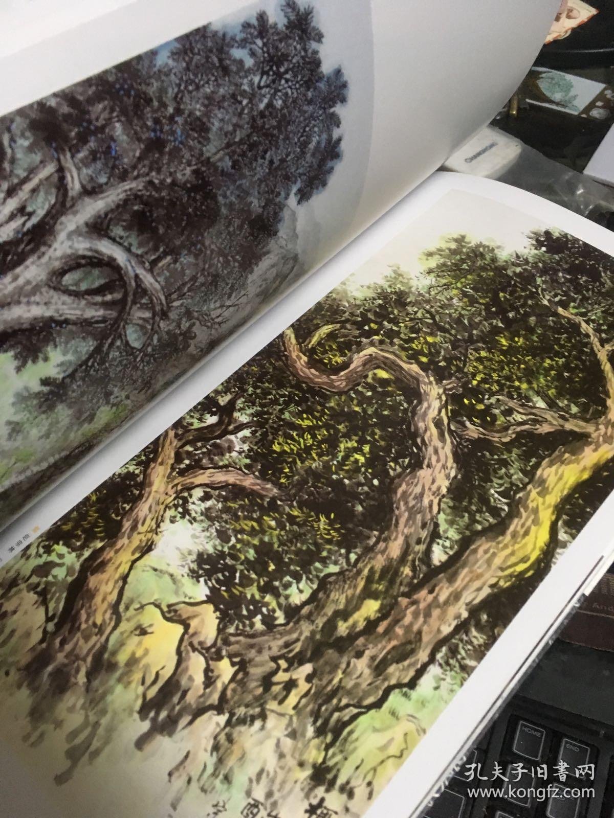 水墨香榧 (诸暨画家画香榧)