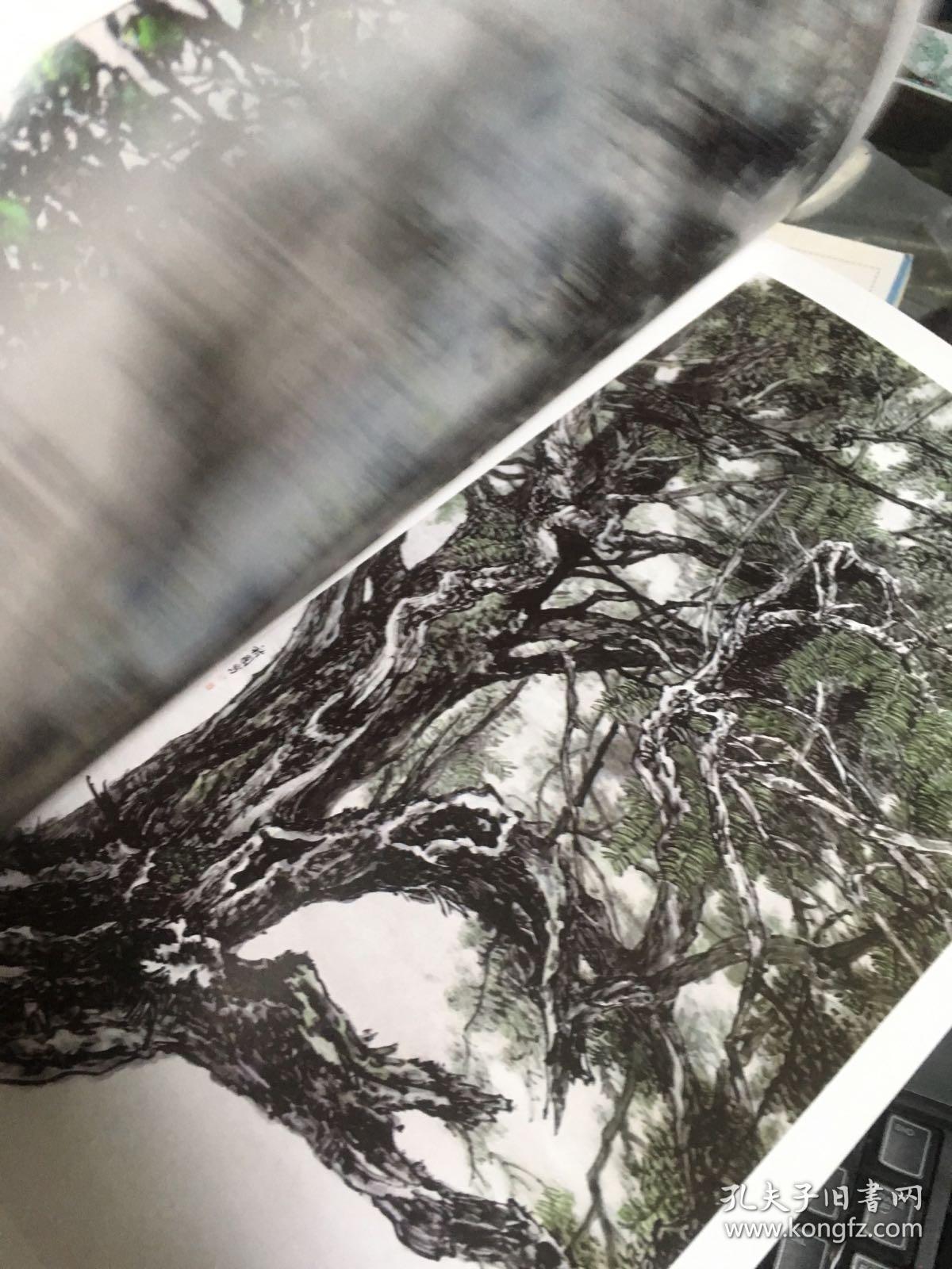 水墨香榧 (诸暨画家画香榧)