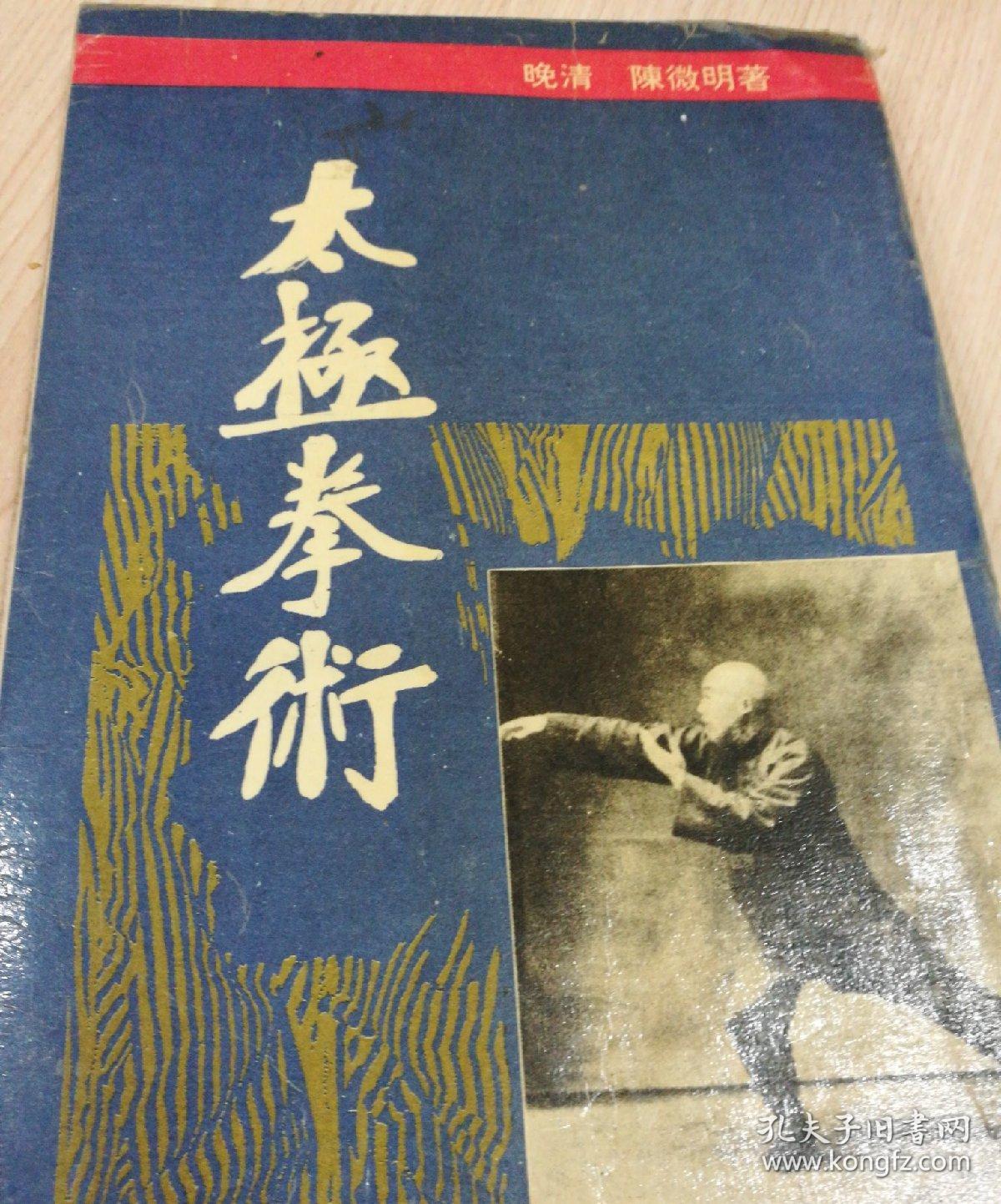 太极拳术 (晚清陈微明著)