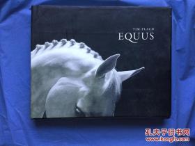 tim flach equus（横8开）  精美艺术画册  【品近全新】