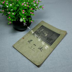 荒山泪