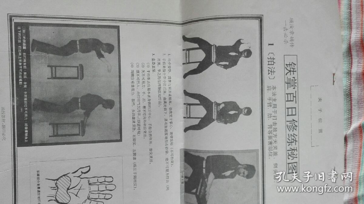 顾汝章嫡传百日速成铁砂掌全套函授教材 铁砂掌打法秘诀发劲打发实战