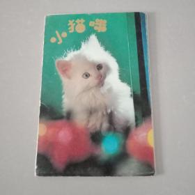 小猫明信片【6张】