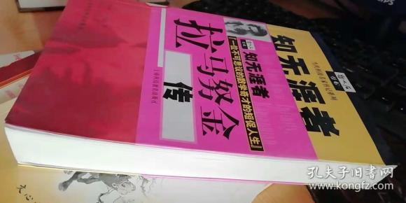 知无涯者:拉马努金传
