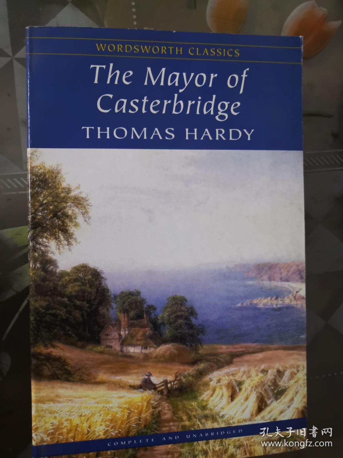 卡斯特桥市长 thomas hardy(托马斯哈代) (wordsworth classics)英文