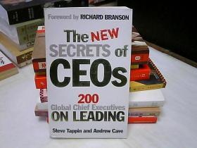 The New Secrets of CEOs: 200 Global Chief Executives on Leading