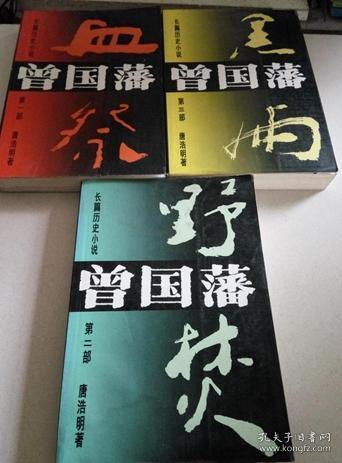 曾国藩(唐浩明作品)