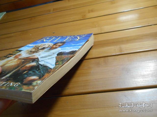 the summer of riley 莱利的夏天