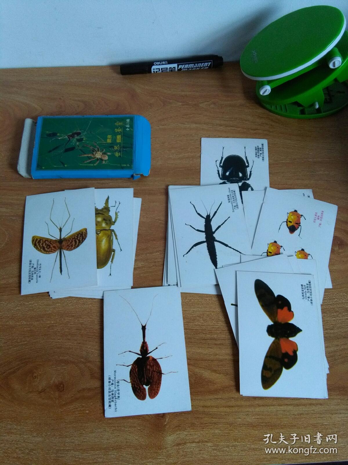 世界昆虫与蜘蛛鉴赏一盒24张硬卡片背面是介绍文字