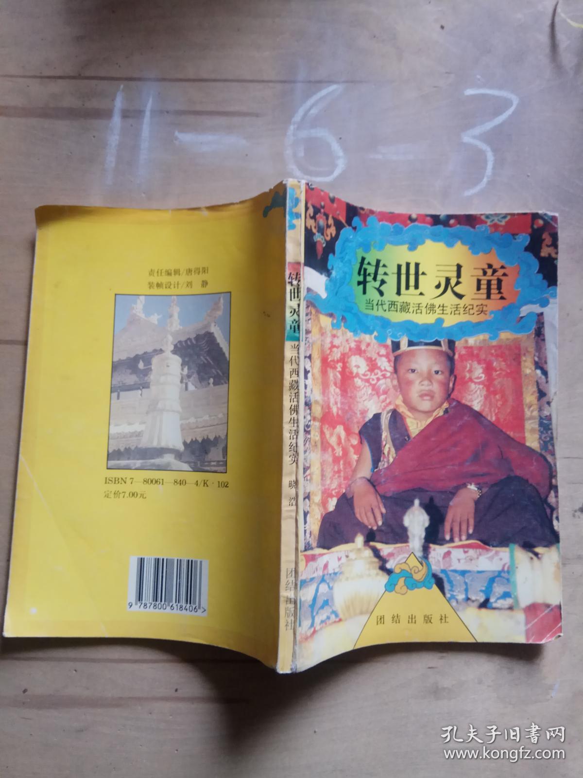 转世灵童:当代西藏活佛生活纪实