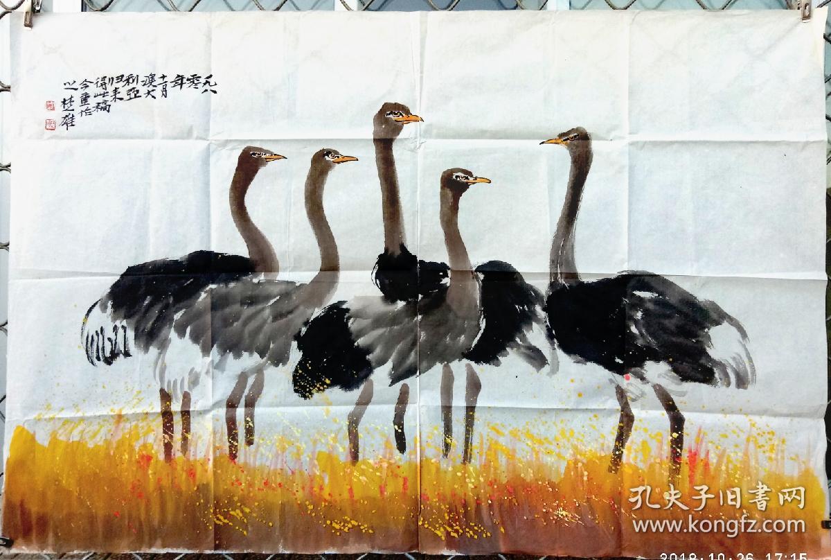 方楚雄鸵鸟10068