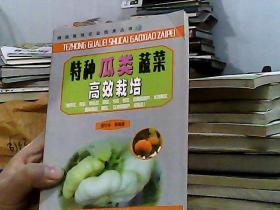特种瓜类蔬菜高效栽培——精选高效农业技术丛书