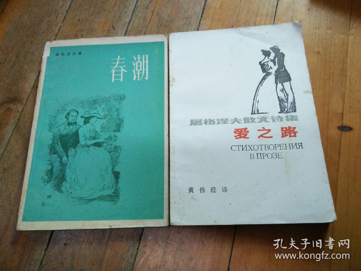 屠格涅夫:爱之路/春潮