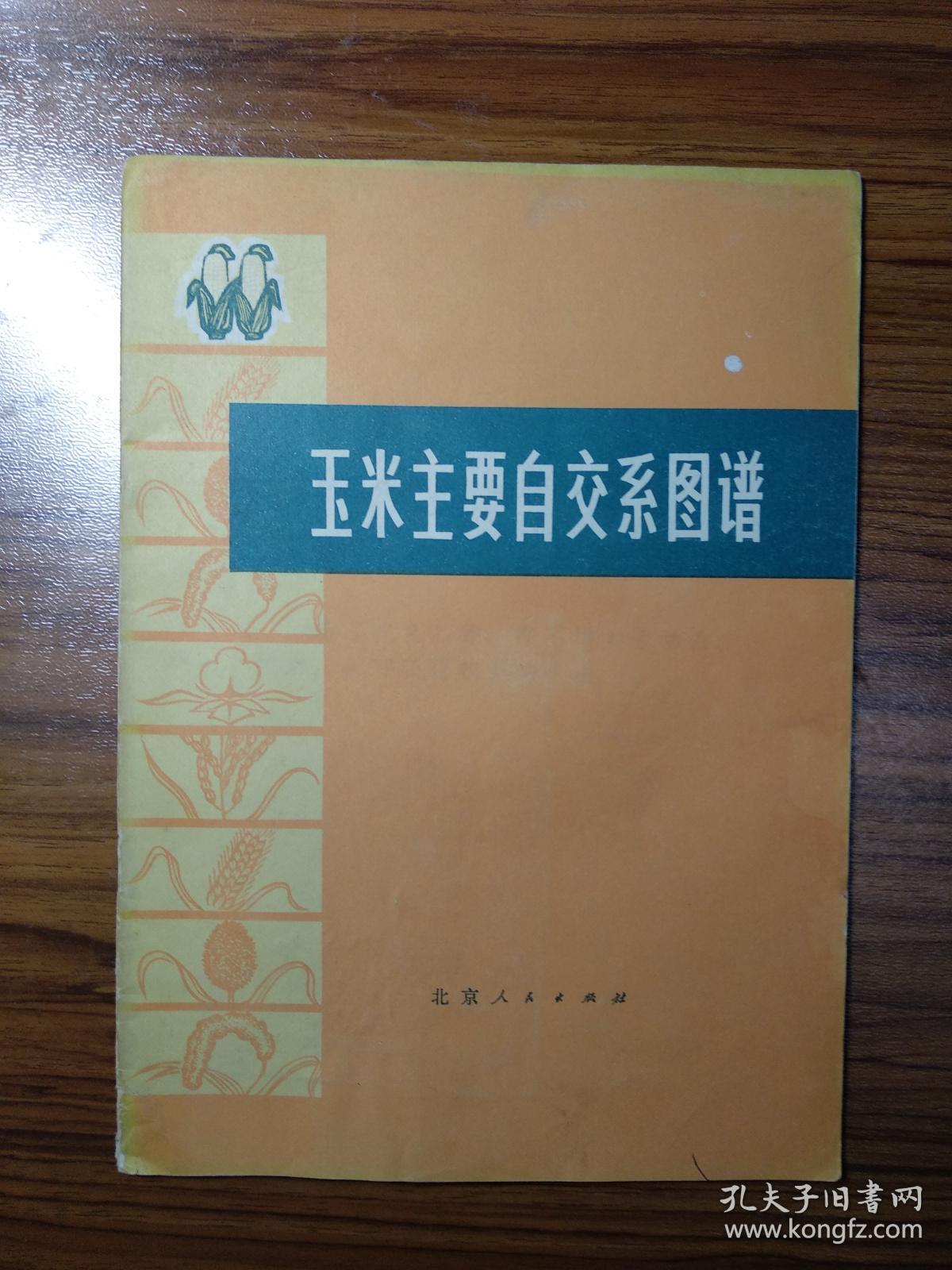 玉米主要自交系图谱(彩图)