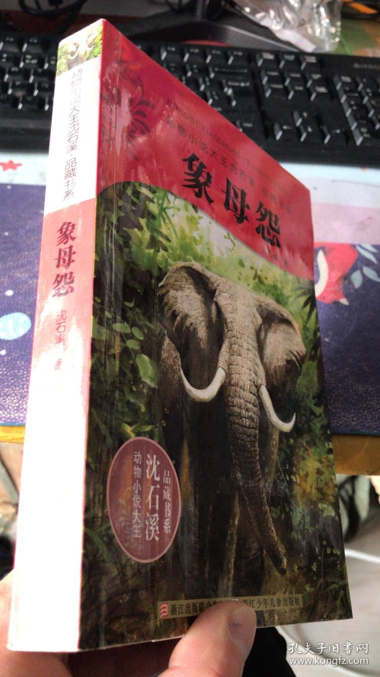 品藏书系:象母怨