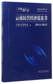 云南民营经济蓝皮书（2014-2015）/云南蓝皮书
